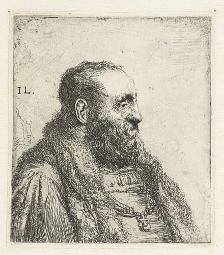 Borstbeeld van een oude heer by Jan Lievens