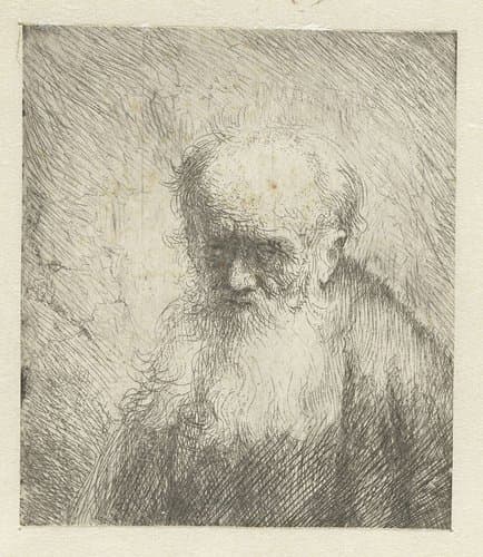 Buste van een oude man met een lange baard by Jan Lievens