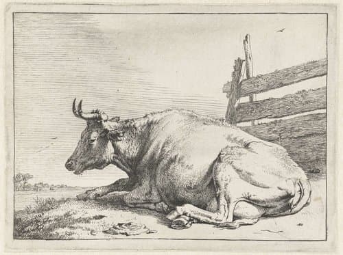 Het Bullenboekje by Paulus Potter