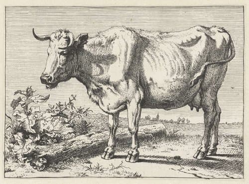 Het Bullenboekje by Paulus Potter