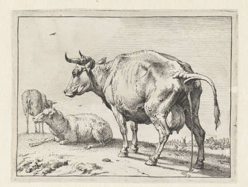 Pissende koe by Paulus Potter