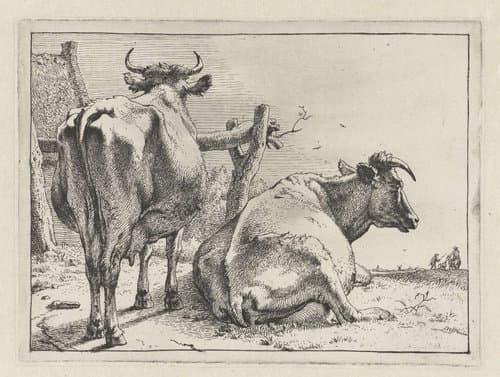 Het Bullenboekje by Paulus Potter