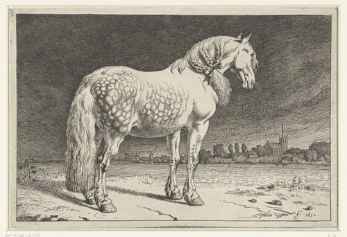 Paarden by Paulus Potter