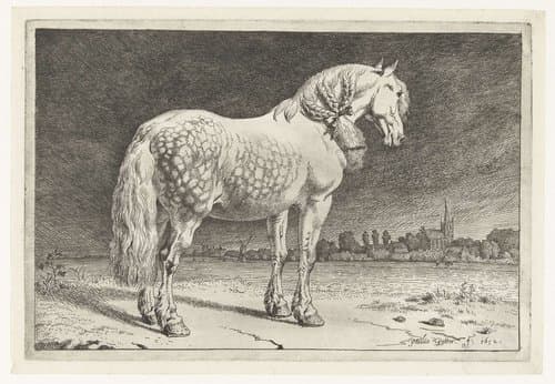 Het Friese paard by Paulus Potter