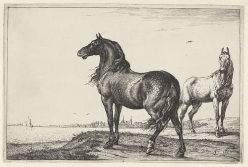 Paarden by Paulus Potter