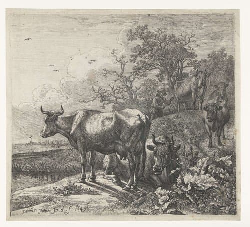 De veehoeder by Paulus Potter