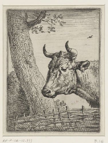 Kop van een koe by Paulus Potter