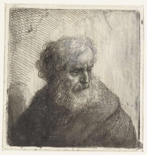 Buste van een oude man by Samuel van Hoogstraten