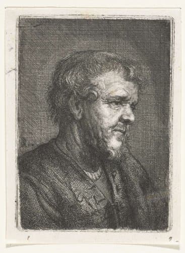 Buste van een oude man met baard by Samuel van Hoogstraten