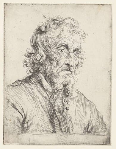 Buste van een oude man by Salomon Koninck