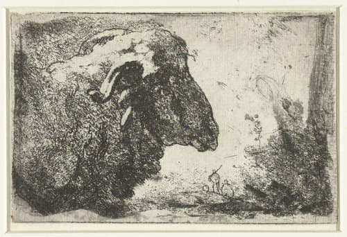 Kop van een ram by anonymous