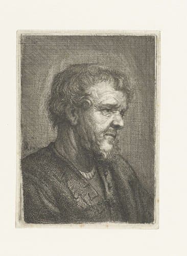 Buste van een oude man met baard by Samuel van Hoogstraten