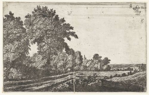 Landweg met bomen by Jan Ruyscher