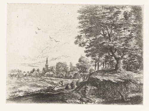 Landschap met een man met varkens by Philips Augustijn Immenraet