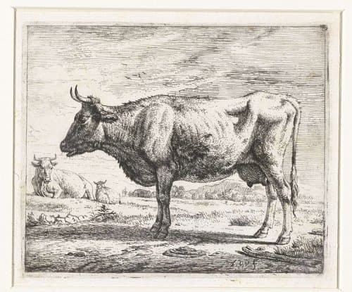 Twee koeien en een schaap by Adriaen van de Velde