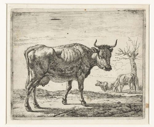 Drie koeien by Adriaen van de Velde