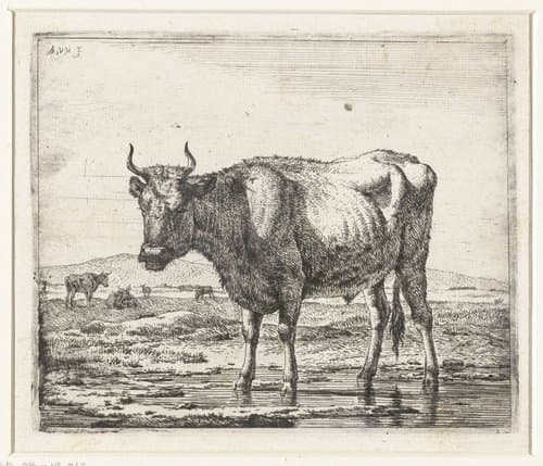 Stier staand in ondiep water by Adriaen van de Velde