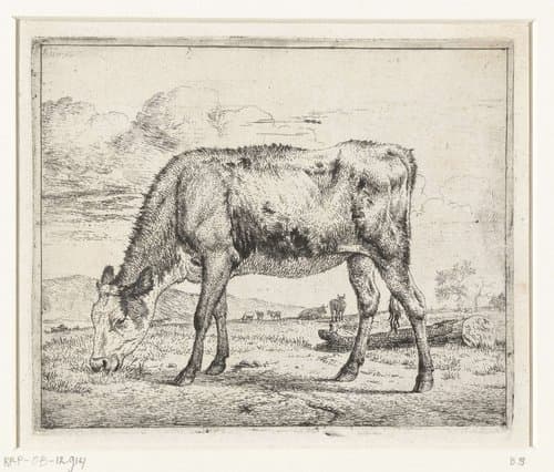 Grazend kalf by Adriaen van de Velde