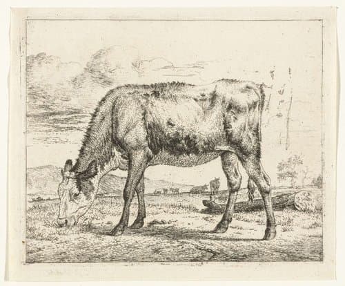 Grazend kalf by Adriaen van de Velde