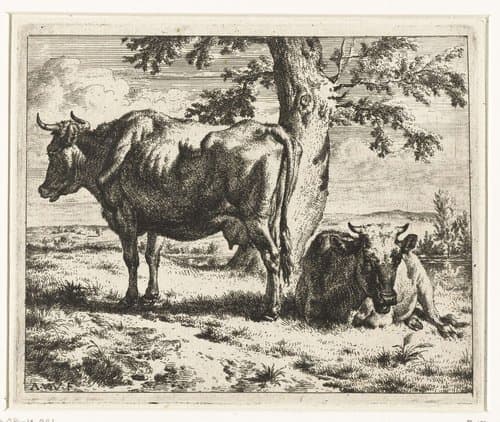 Twee koeien onder een boom by Adriaen van de Velde