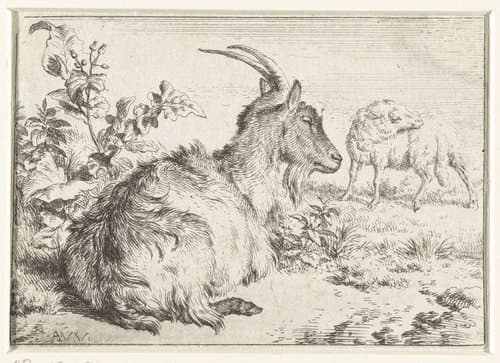 Schapen en geiten by Adriaen van de Velde