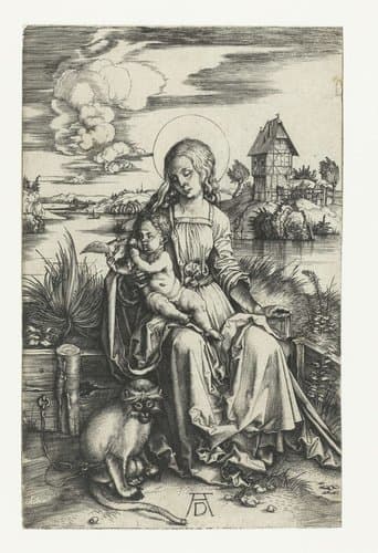 Maria met kind en een aap by Albrecht Dürer
