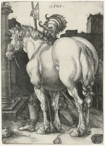 Het grote paard by Albrecht Dürer