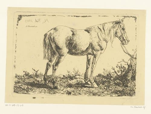 Paard aan een boom by Adam von Bartsch