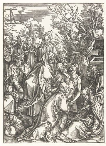 Graflegging by Albrecht Dürer