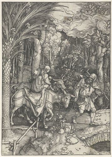 Leven van Maria by Albrecht Dürer