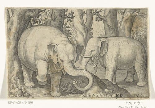 Twee olifanten by Nicolaes de Bruyn