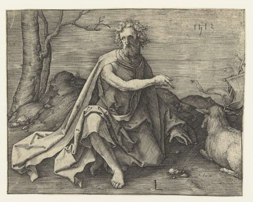 Johannes de Doper in de woestijn by Lucas van Leyden