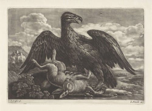 Een adelaar staat op een haas by Jan Griffier (I)