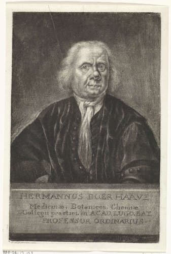 Portret van Hermanus Boerhaave by Johannes de Groot (II)