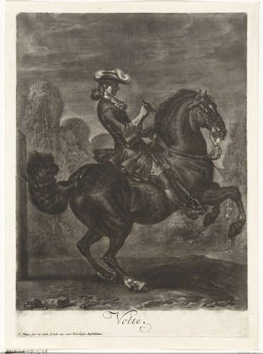 Zwart steigerend paard by Dirk Maas