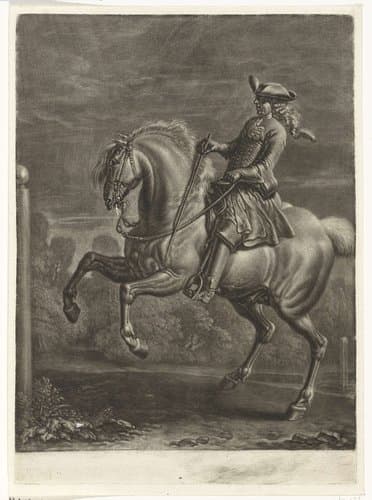 Steigerend paard by Dirk Maas