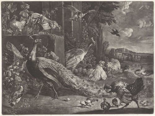 Landschap met gevogelte by anonymous
