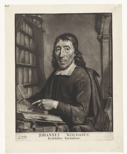 Portret van Johannes Roldanus by Jan Verkolje (I)