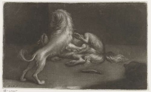 Twee spelende honden by Nicolaas Verkolje