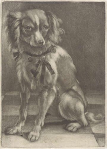 Zittende hond by anonymous