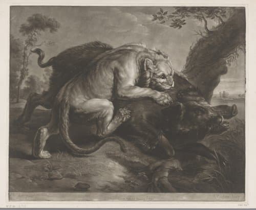 Leeuwin valt een everzwijn aan by Richard Earlom