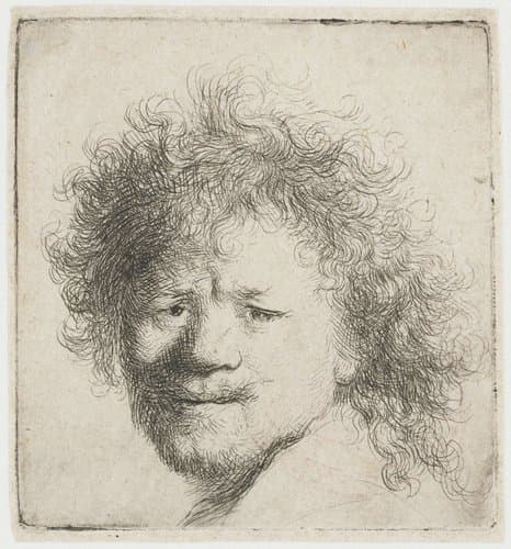 Self-portrait with long bushy hair: head only by Rembrandt van Rijn