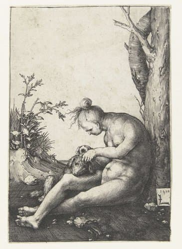 Naakte vrouw met hond by Lucas van Leyden