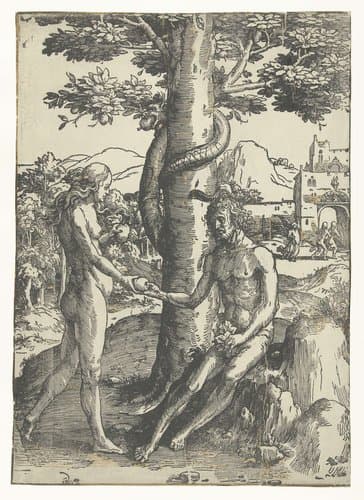 Grote serie Vrouwenlisten by Lucas van Leyden