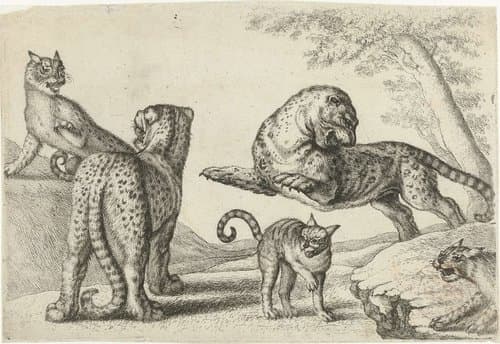 Animals after various artists by Richard Gaywood