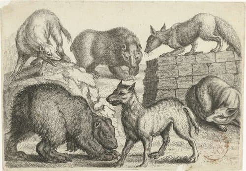 Twee beren, twee wolven en twee vossen by Richard Gaywood