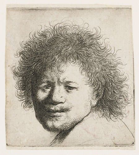Self-portrait with long bushy hair: head only by Rembrandt van Rijn