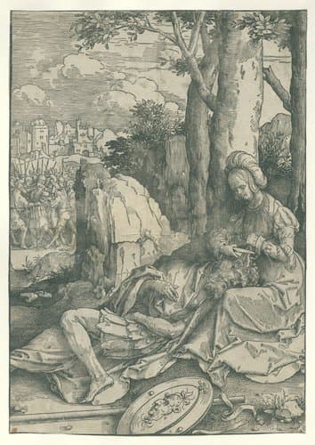 Grote serie Vrouwenlisten by Lucas van Leyden
