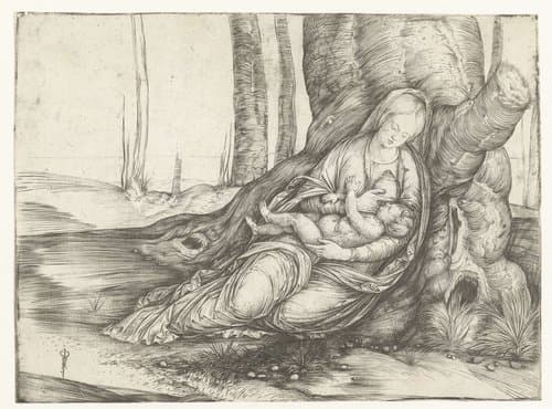 Maria met kind aan borst zit voor voet van boom by Jacopo de'Barbari