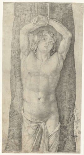 Heilige Sebastiaan vastgebonden aan boom by Jacopo de'Barbari